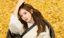 你惊艳了我的岁月