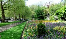 行走在春天的校园里