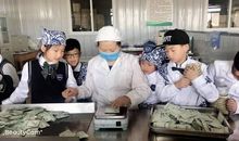 亲近自然，采撷一缕茶香