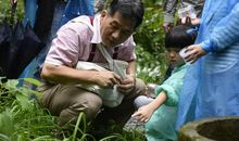 大自然的交响乐