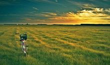 成长路上，你就是信仰