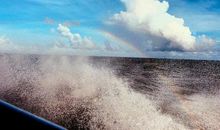 我变成一条小鱼了