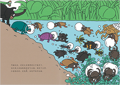 昆虫扇