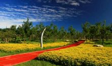 一年四季的花园