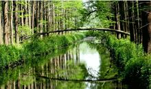 李中水上森林公园