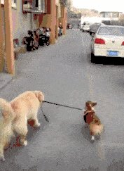 如果您今天不保留，明天您想要什么？