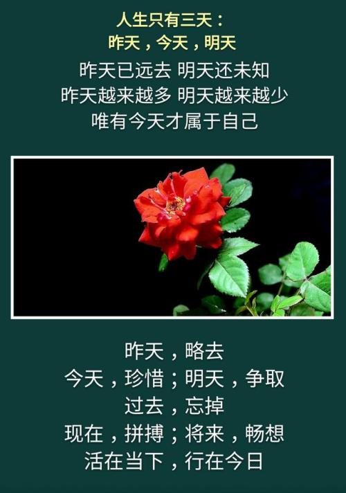 珍惜当下，把握当下