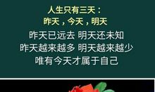 珍惜当下把握现在