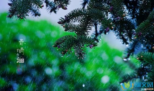 春雨船晚上