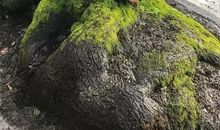 阅读让我心生敬畏