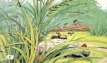 草虫的村落续写