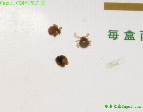 我有一个小发现