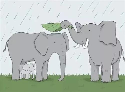 父母的爱给了我力量