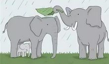 父母的爱给我力量