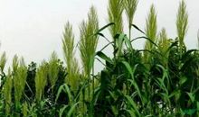 让时间永驻生命