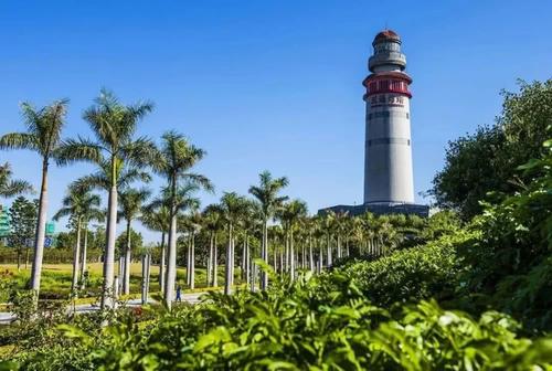 梧桐灯塔公园之旅