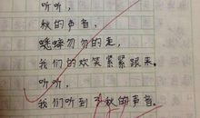 听听雪的声音读后感