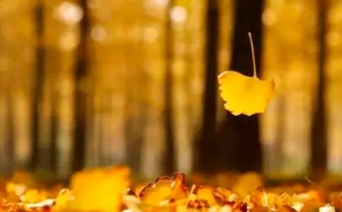 那盏灯影响我的感觉