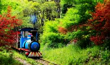 开往春天的火车