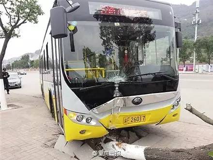 重庆客车撞河组成