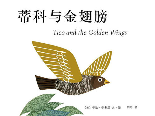 不同的翅膀