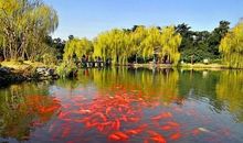 暑假杭州二日游