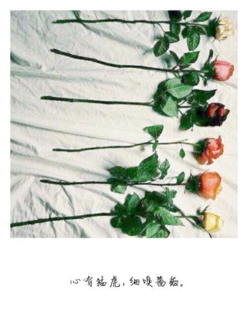 传统在心，闻到新香