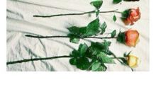 心有传统，细嗅新芳