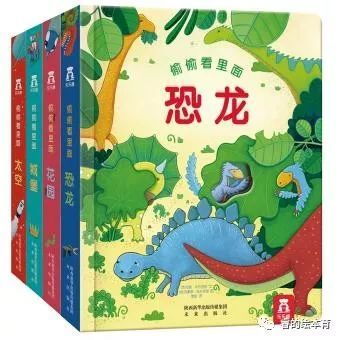 一本书让我着迷