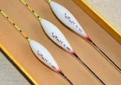 钓鱼知识