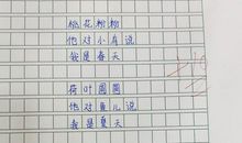介绍绿萝的说明文500字