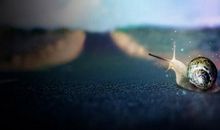 听，奋力奔跑的声音