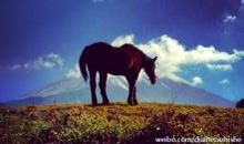 我终于攀上了高峰