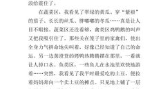 描写早市的作文