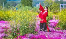 春来了这儿的景色真美