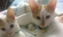 我的“小乖乖”