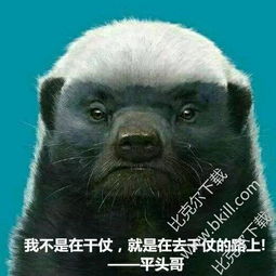 害怕而不怕