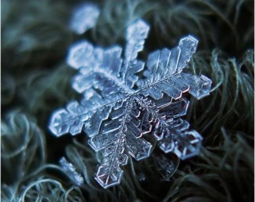 雪花的世界