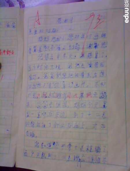 写妈妈的作文