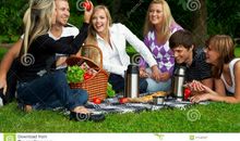 快乐的野餐