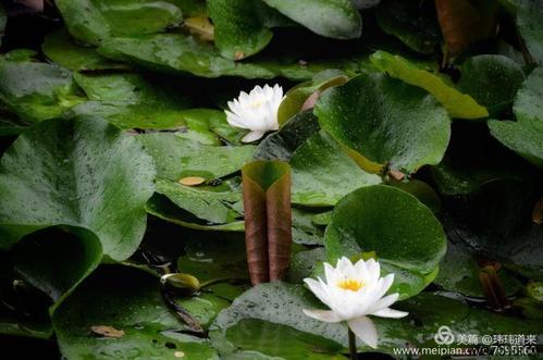 秋雨的感觉