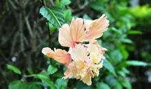 阅读让我受益匪浅