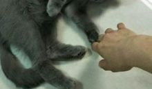 20年后回到家乡