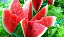 快乐的吃瓜之旅