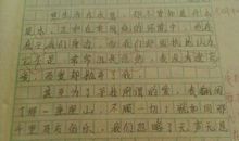 一篇写活动的作文