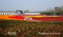 秋游雨发生态园
