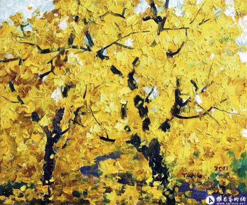 那棵银杏植物感动了我的心