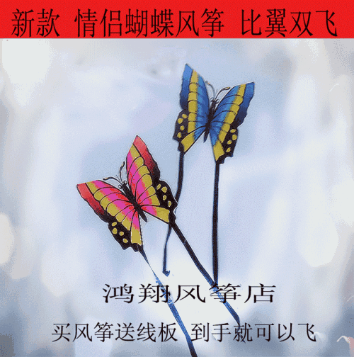 风筝之恋