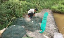 有趣的乡下生活