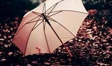 风雨中一把倾斜的雨伞